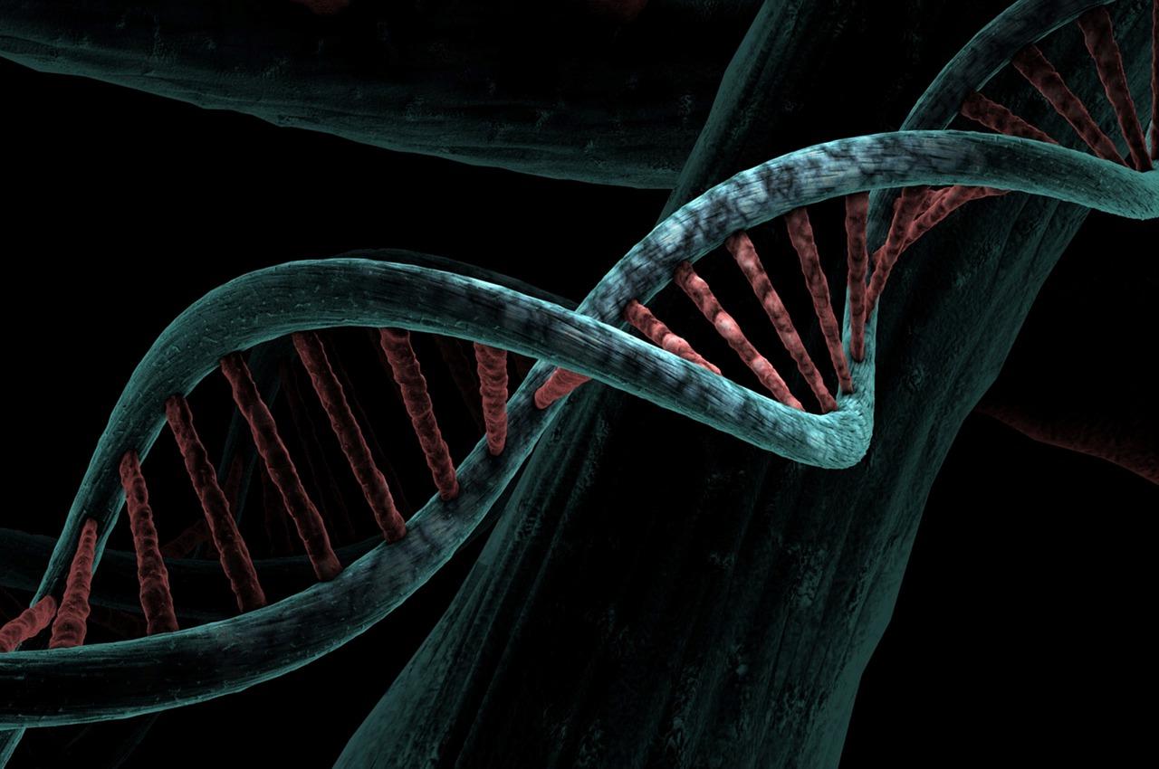 Mitochondrial DNA Damage May Serve as Biomarker of Parkinson's Diseasea