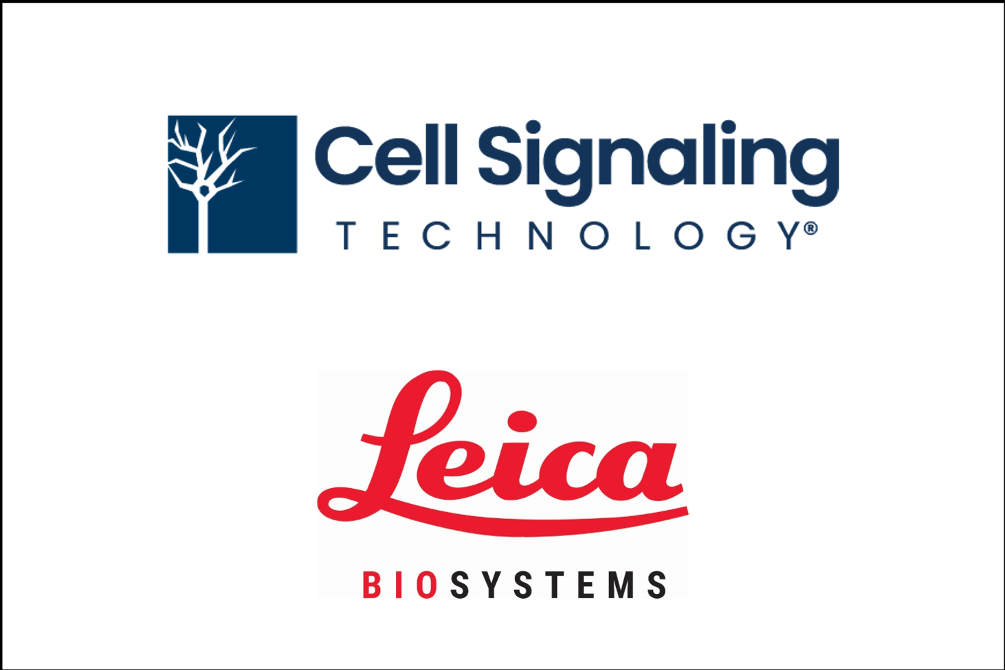 CST and Leica Biosystems partner to enable companion diagnostics for personalized medicine
