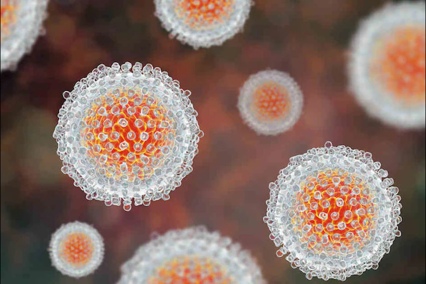 WHO Adds Hepatitis E to Essential Dx List
