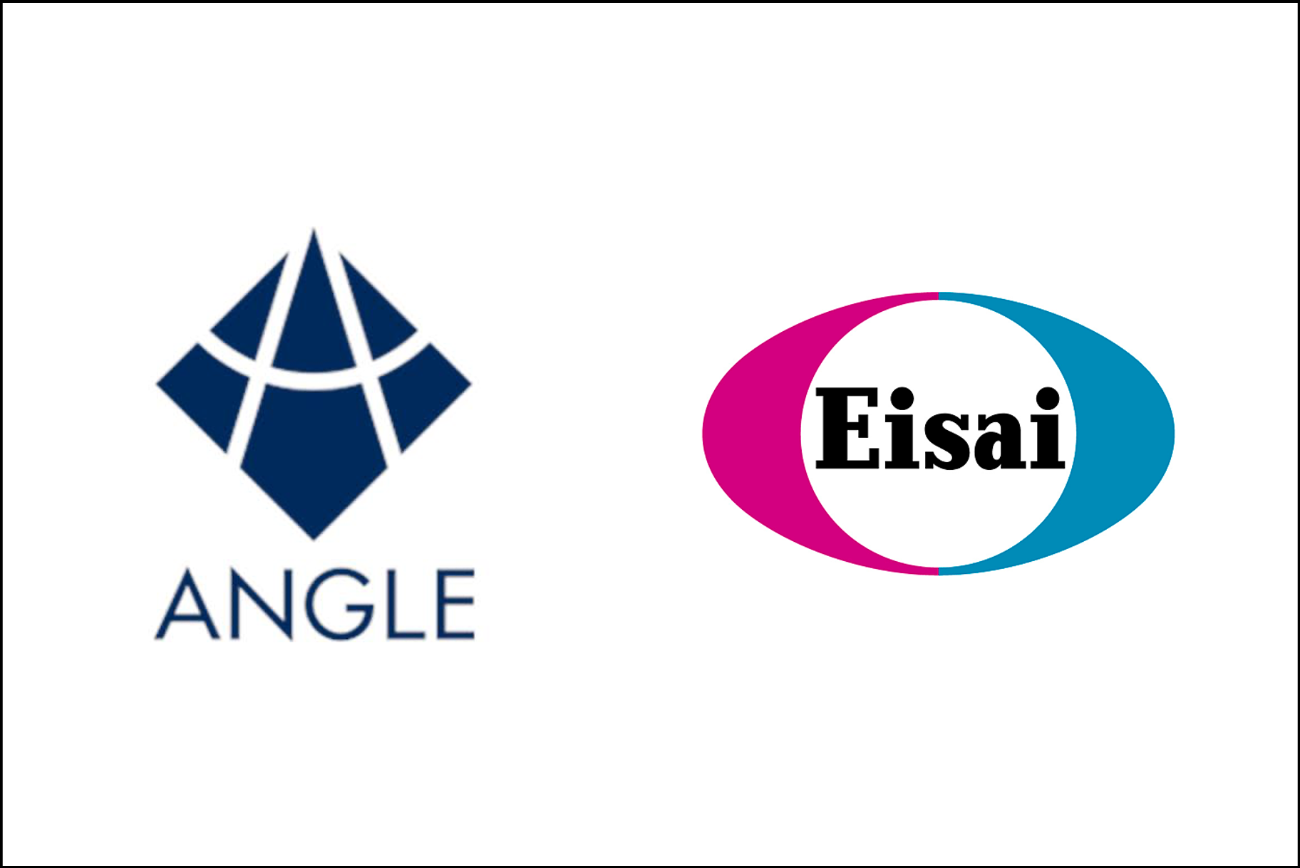 Angle, Eisai Agree to Study HER2 Assay